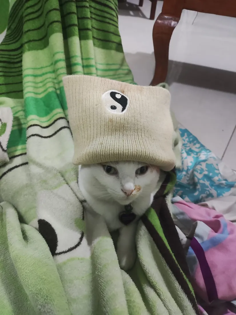 Con gorrito, por supuesto.